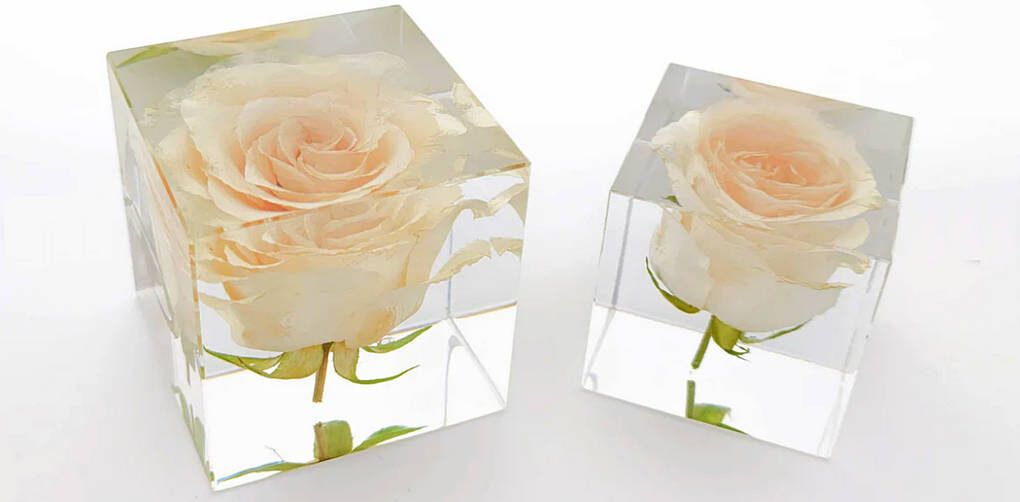 Resin Flower Paperweight: How to Preserve Flowers in Resin